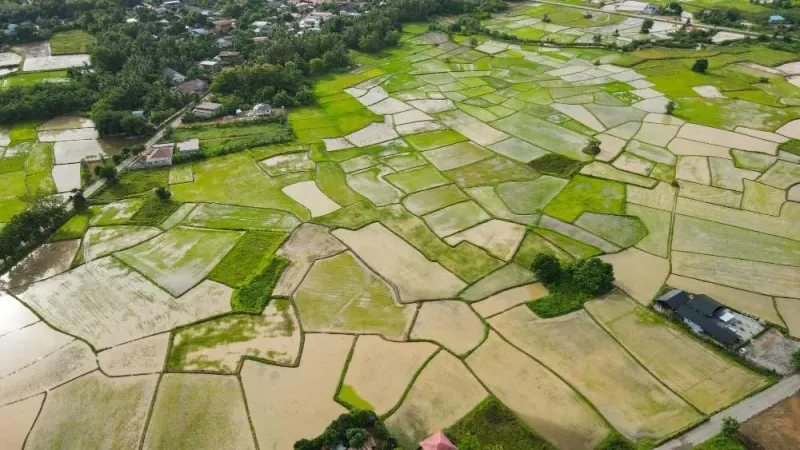 Vedere aeriană a unor terenuri agricole împărțite în loturi